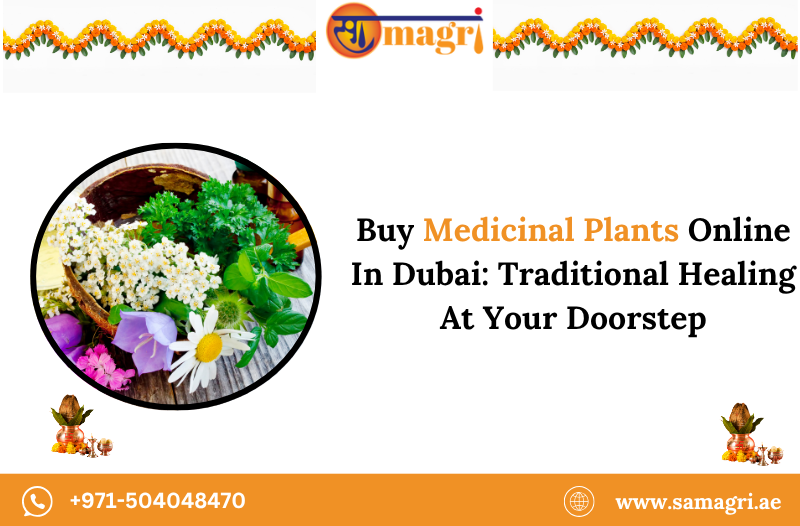 Medicinal Plants